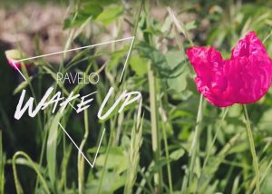 Ravelo Wake Up - Marcha FM